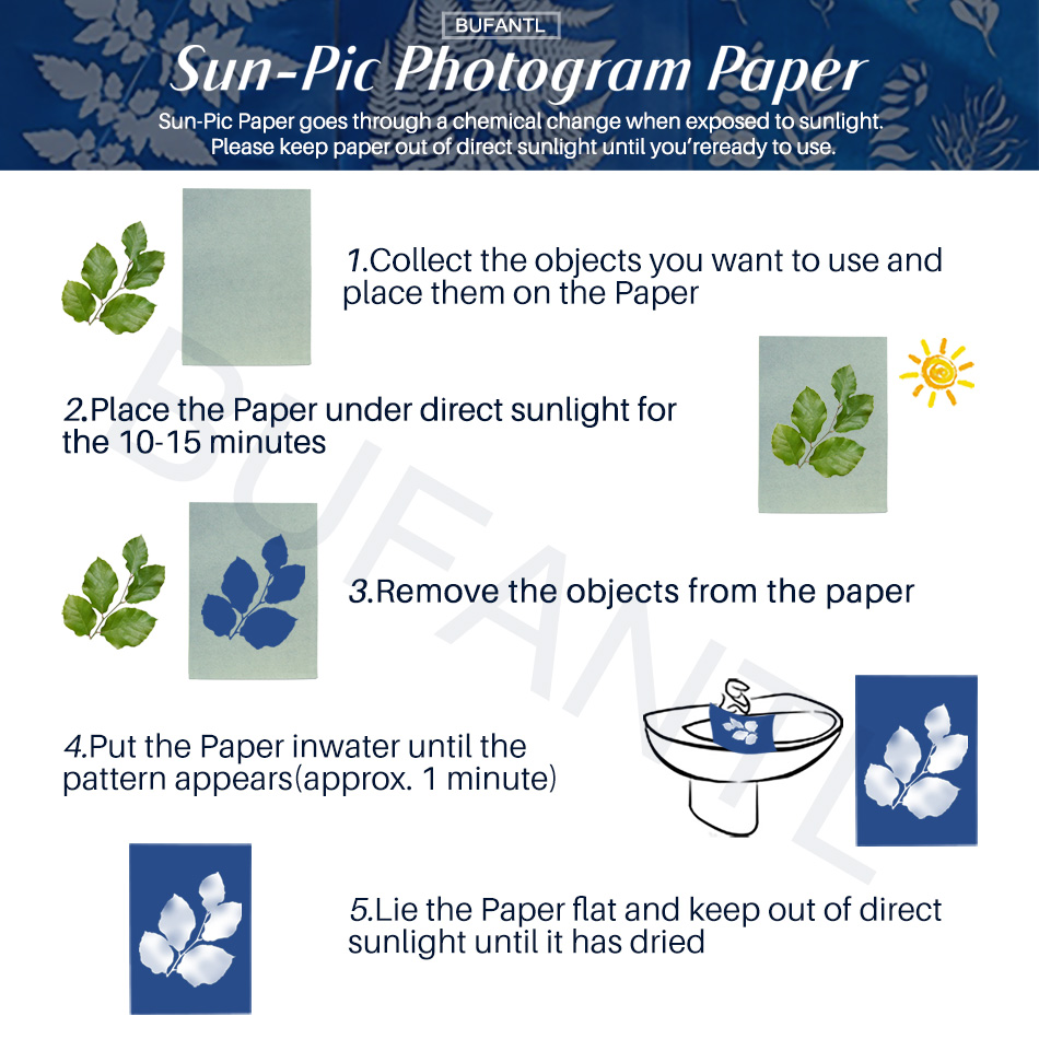 Papel para Cianotipia, Paquete - Photography Lighting For Beginners reseña y precio