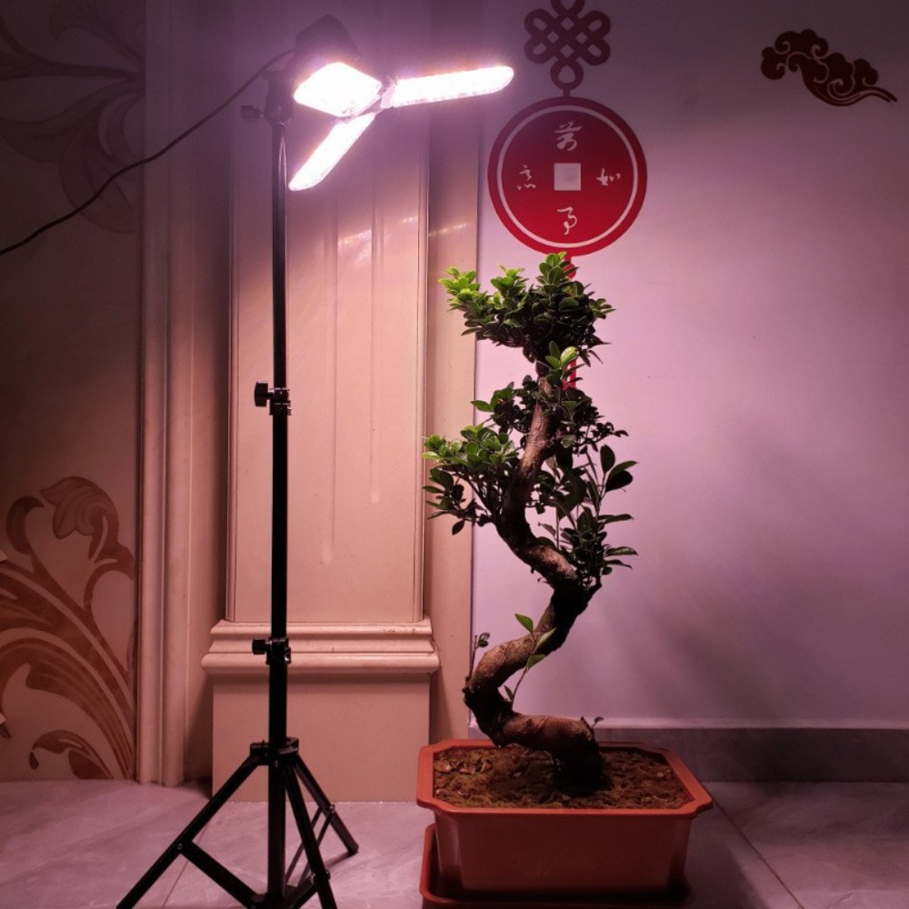 Soporte de bombilla de 2M, enc - Photography Lighting Mount reseña y precio