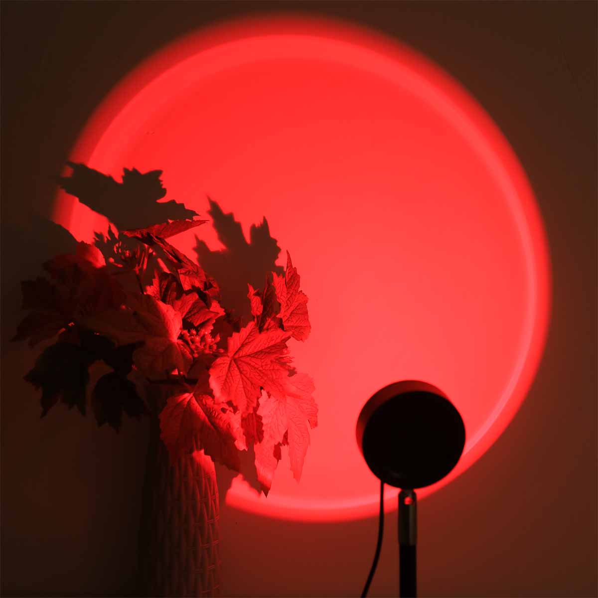 Lámpara de Proyección de Atard - Photography Lighting Setup reseña y precio