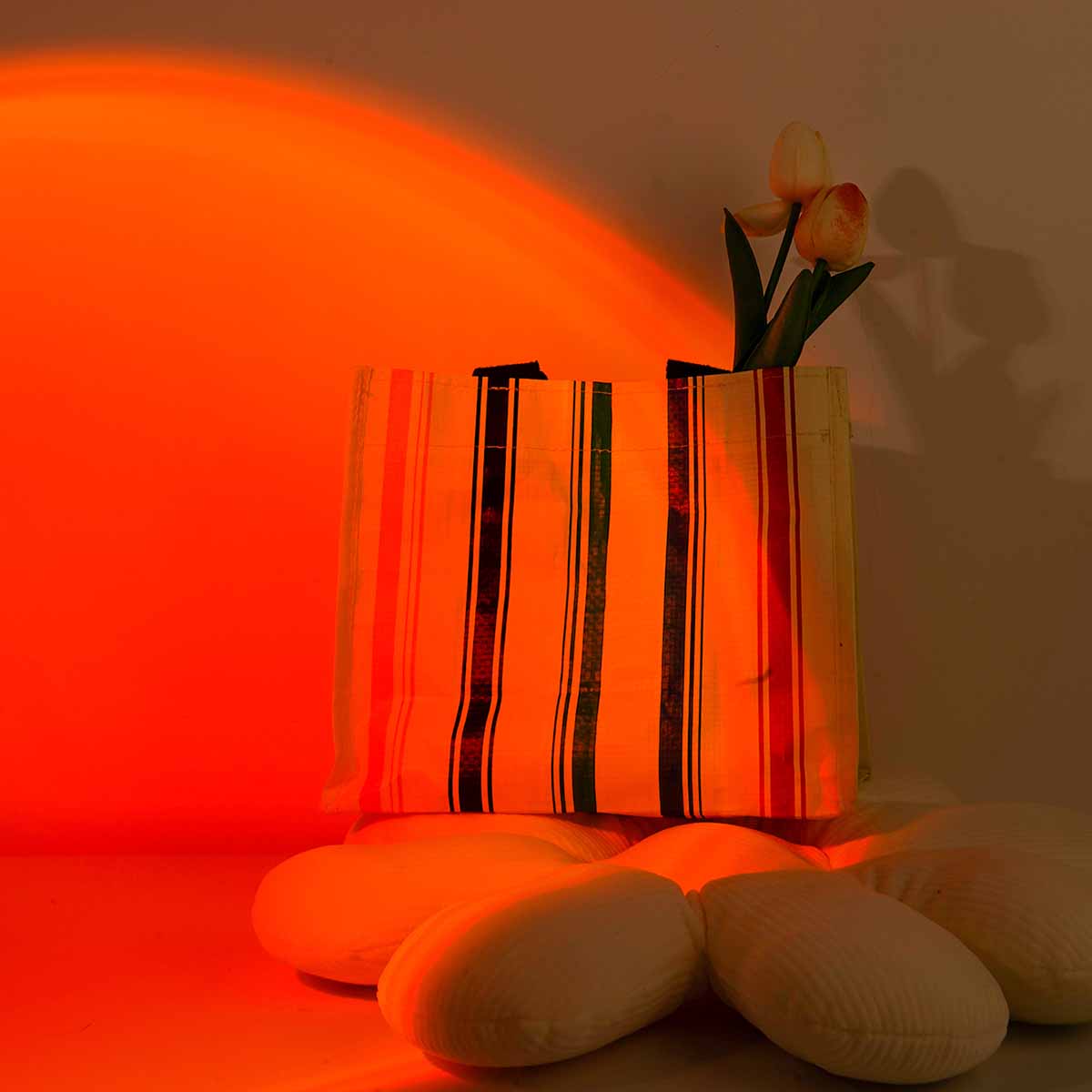 Lámpara de Proyección de Atard - Photography Lighting Setup reseña y precio